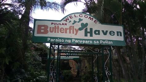 Best Hotels Near Pulilan Butterfly Haven .